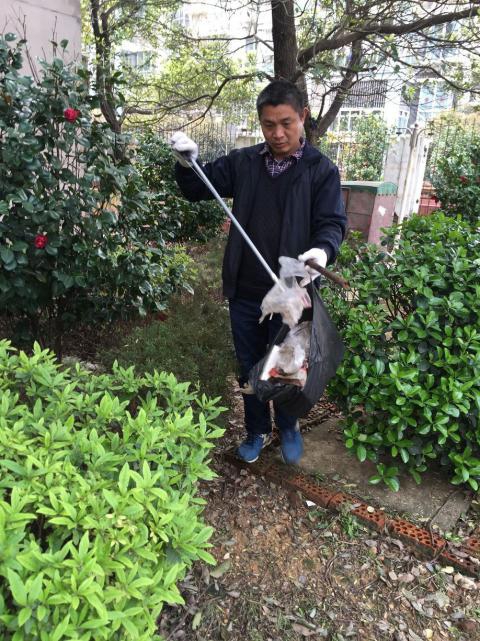 �����󺦡�Ԥ��������������Э����������