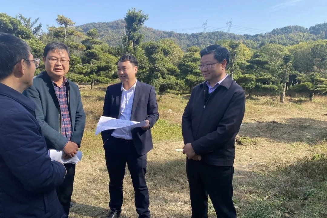 Ϳ��ƽ��������������Ŀ�;��޸߼ܶ�����Ŀ�ֳ�����ָ������